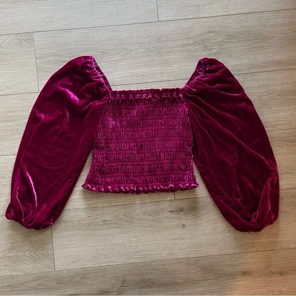 NWT Anthropologie velvet top - Picture 5 of 9